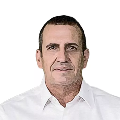 ולדמן
